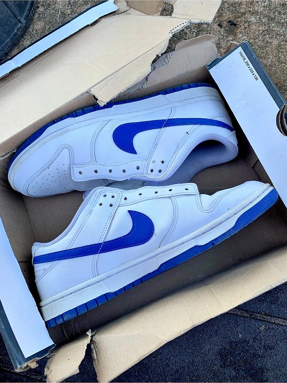 Nike Dunk Low Retro Low Retro Sneakers White & Blue US 11